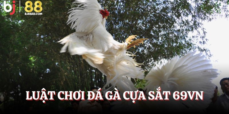 Luật đá gà cá cược trên hệ thống